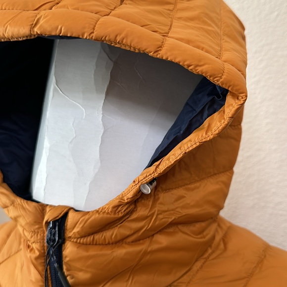 Craghoppers EXPOLITE HOODED JACKET - Cumin - Picture 6 of 16